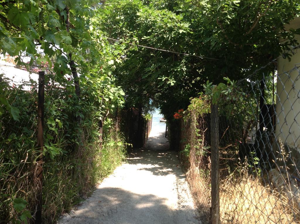 Elena Apartments Nikiti  Buitenkant foto